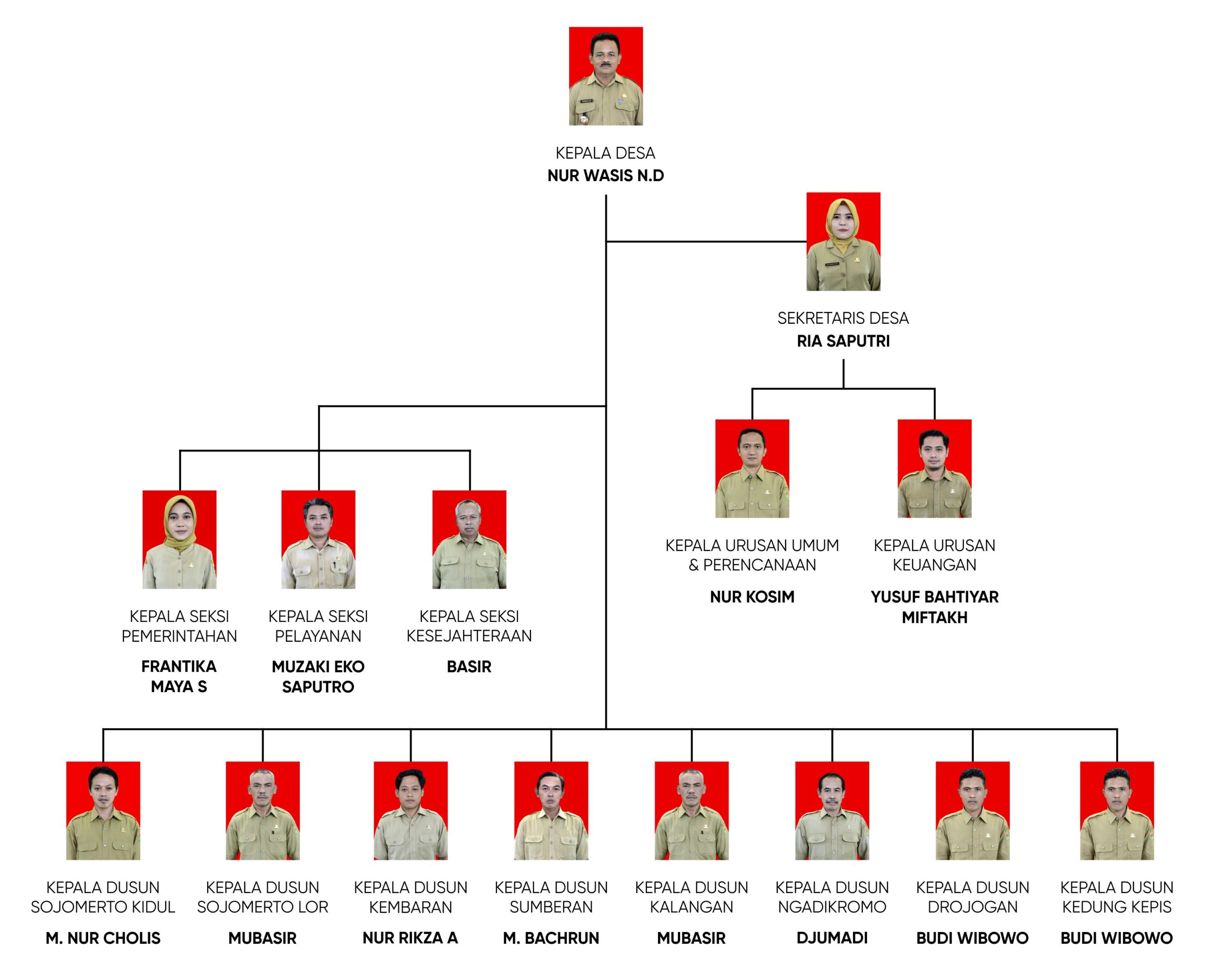 Struktur Organisasi